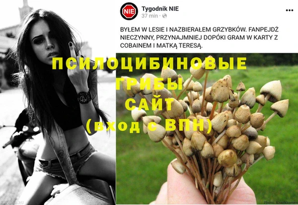прущие грибы Кулебаки