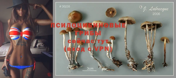 винт Ладушкин