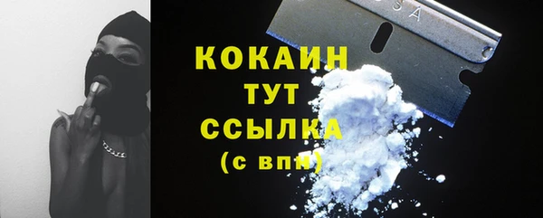 амф Лабытнанги