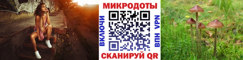 Галлюциногенные грибы Psilocybe  закладки  Сольцы 